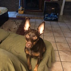 Meet your Posher, Brenda